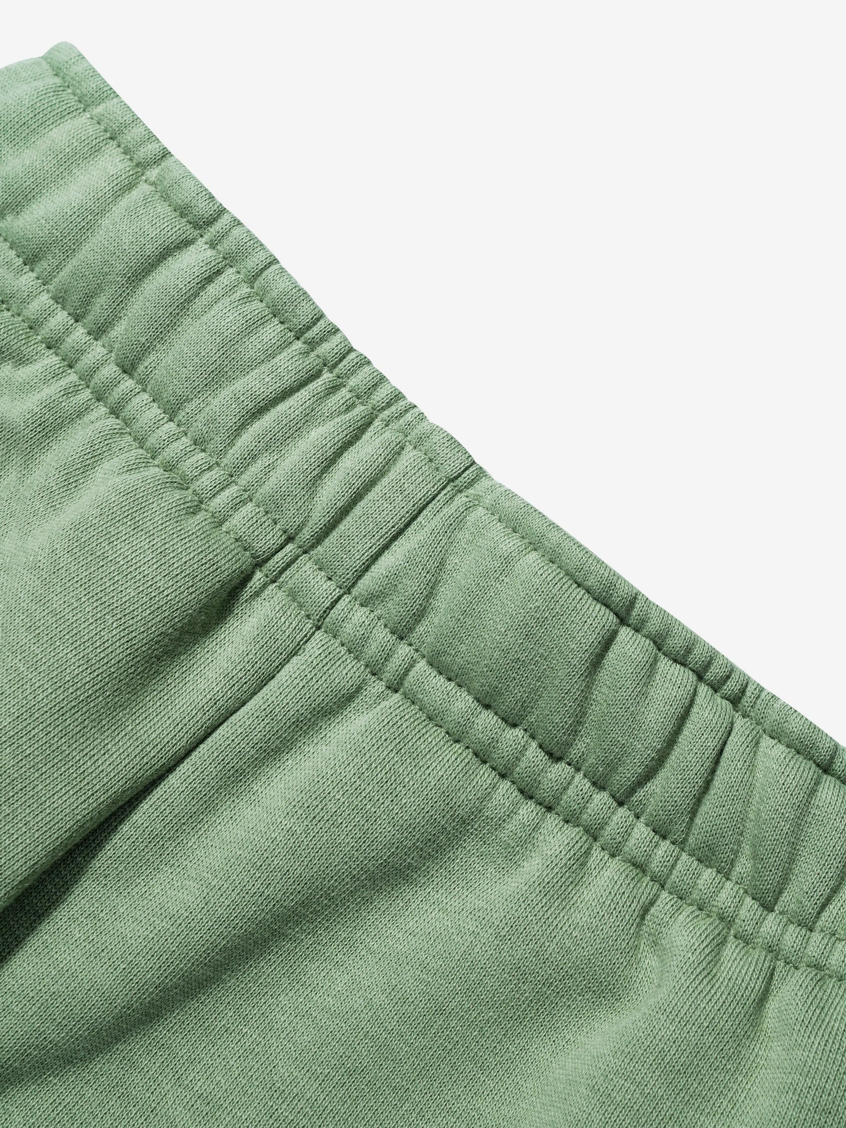 Lacoste Boys Logo Shorts in Green